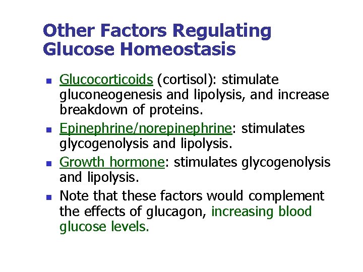 Other Factors Regulating Glucose Homeostasis n n Glucocorticoids (cortisol): stimulate gluconeogenesis and lipolysis, and