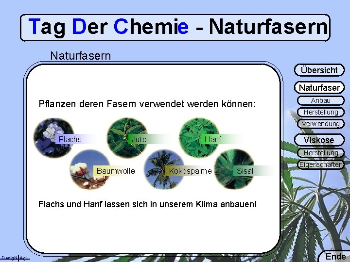 Tag Der Chemie - Naturfasern Übersicht Naturfaser Pflanzen deren Fasern verwendet werden können: Anbau