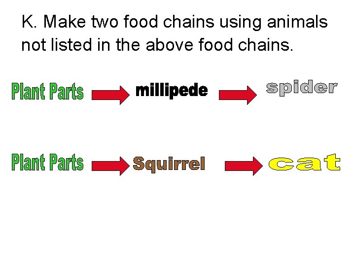 K. Make two food chains using animals not listed in the above food chains.