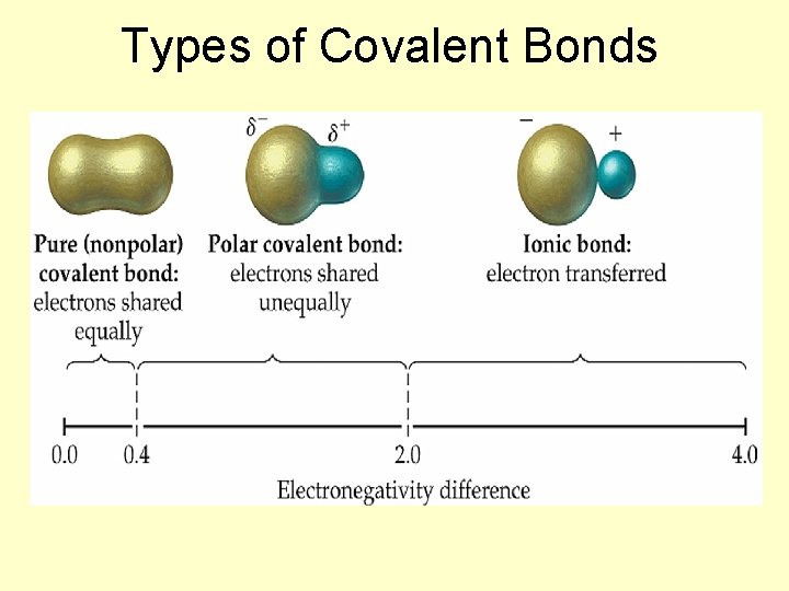  Types of Covalent Bonds 