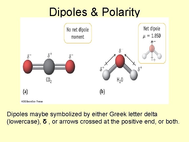 Dipoles & Polarity Dipoles maybe symbolized by either Greek letter delta (lowercase), δ ,