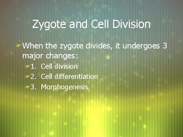 Zygote and Cell Division F When the zygote divides, it undergoes 3 major changes: