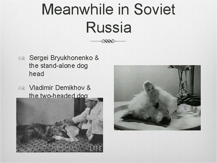 Meanwhile in Soviet Russia Sergei Bryukhonenko & the stand-alone dog head Vladimir Demikhov &