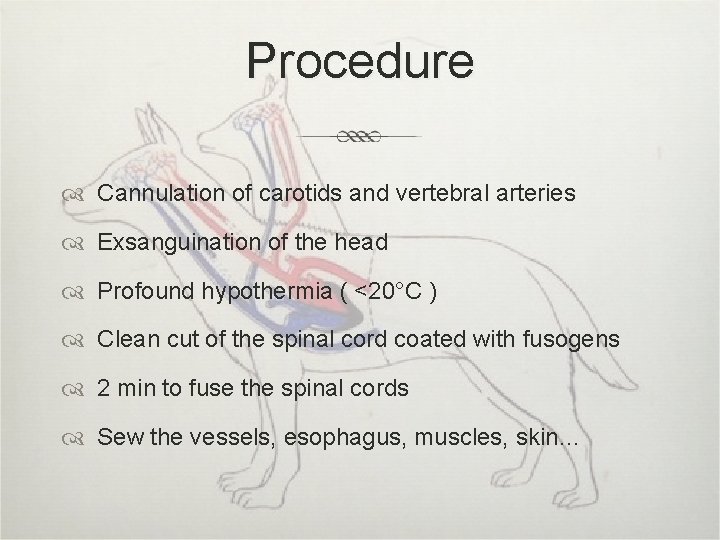 Procedure Cannulation of carotids and vertebral arteries Exsanguination of the head Profound hypothermia (