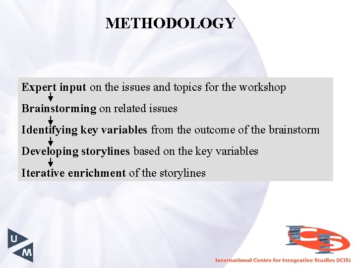 METHODOLOGY Expert input on the issues and topics for the workshop Brainstorming on related