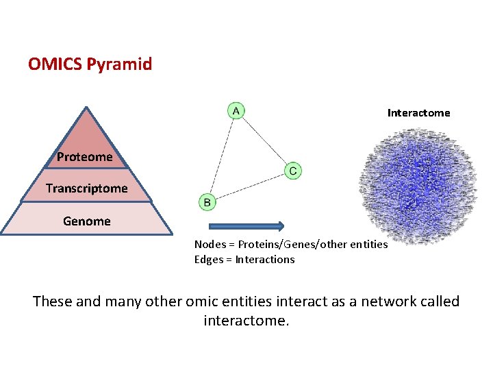 OMICS Pyramid Interactome Proteome Transcriptome Genome Nodes = Proteins/Genes/other entities Edges = Interactions These