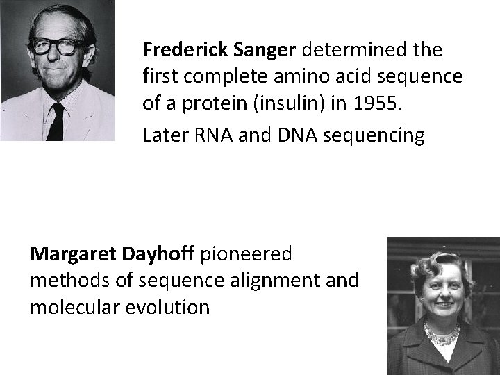 Frederick Sanger determined the first complete amino acid sequence of a protein (insulin) in