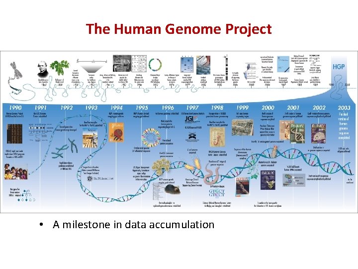 The Human Genome Project • A milestone in data accumulation 