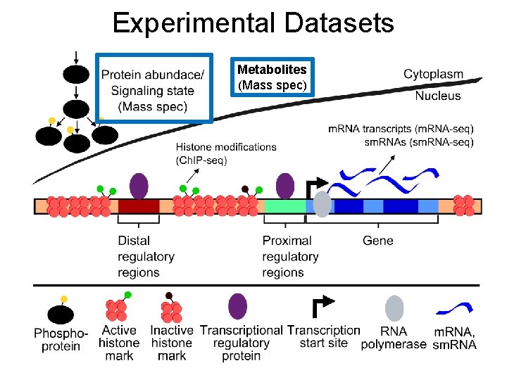 Experimental Datasets Metabolites (Mass spec) 