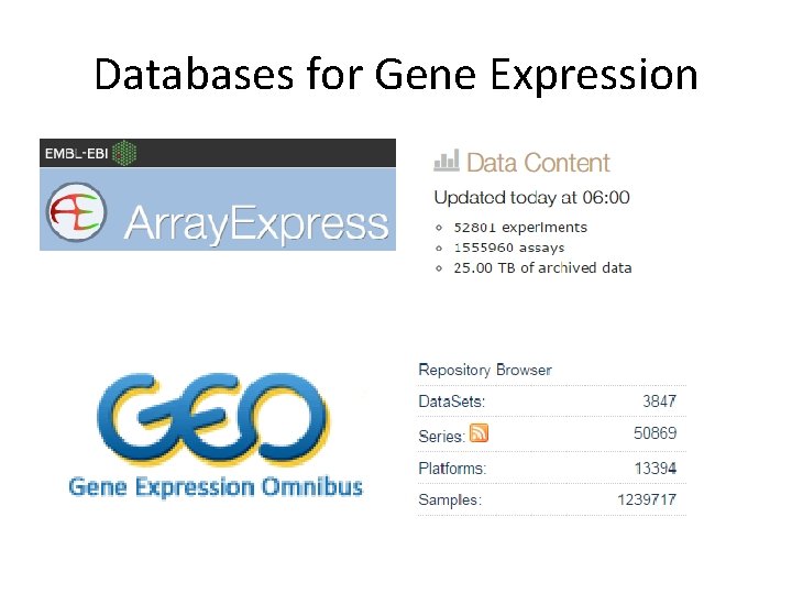 Databases for Gene Expression 