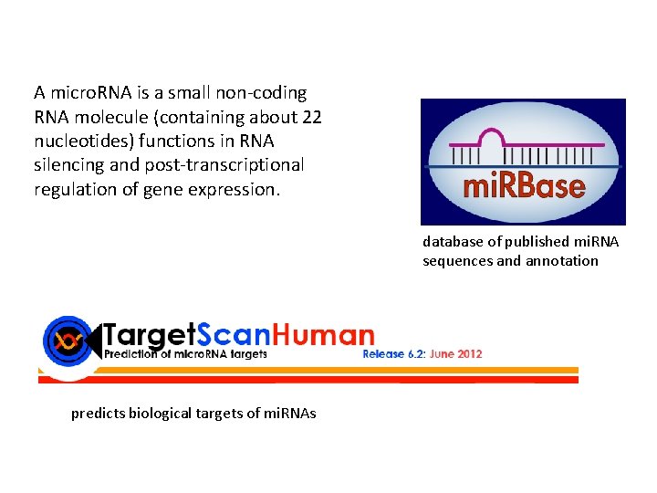 A micro. RNA is a small non-coding RNA molecule (containing about 22 nucleotides) functions