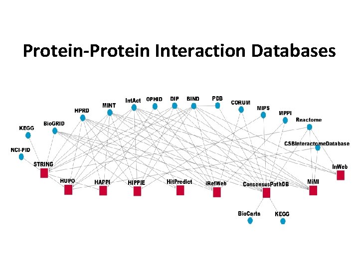 Protein-Protein Interaction Databases 