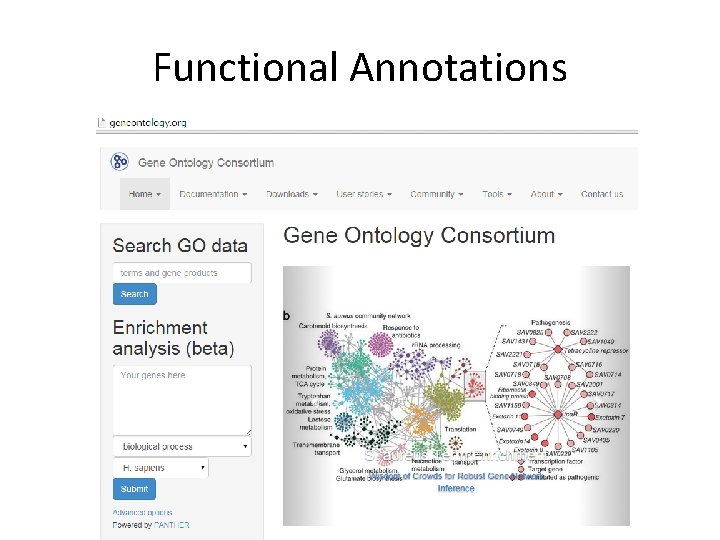 Functional Annotations 
