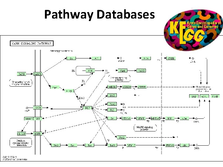 Pathway Databases 