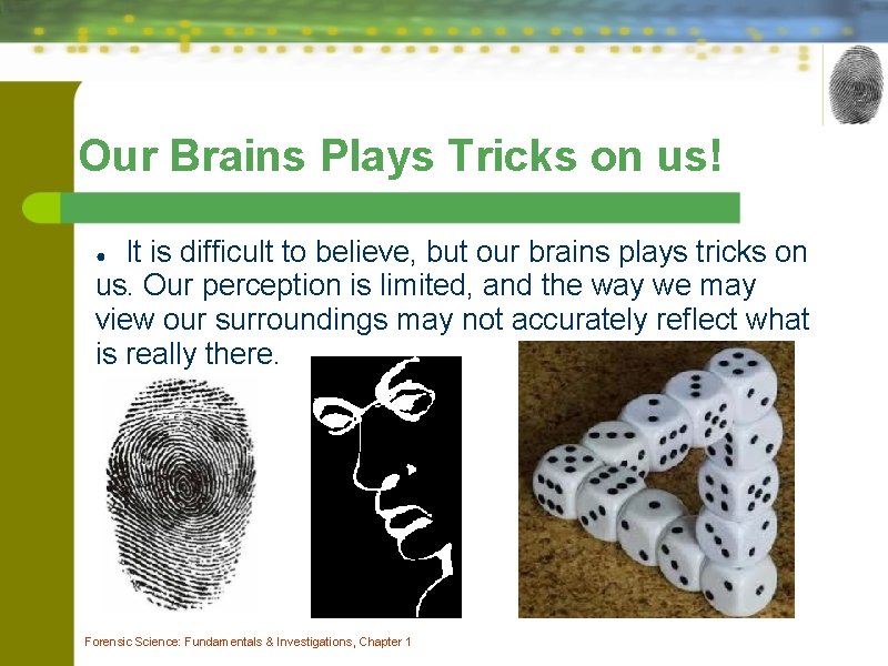 Our Brains Plays Tricks on us! It is difficult to believe, but our brains