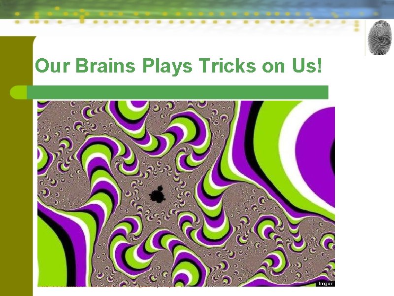 Our Brains Plays Tricks on Us! Forensic Science: Fundamentals & Investigations, Chapter 1 Our Brains Plays Tricks on Us! Forensic Science: Fundamentals & Investigations, Chapter 1