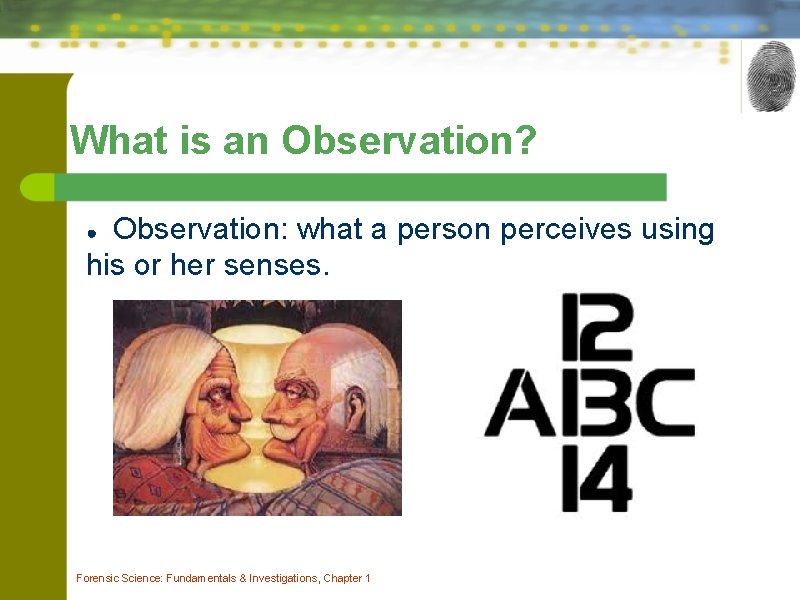 What is an Observation? Observation: what a person perceives using his or her senses. What is an Observation? Observation: what a person perceives using his or her senses.