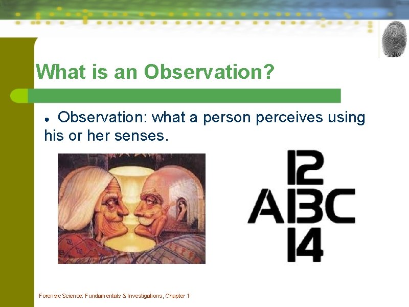 What is an Observation? Observation: what a person perceives using his or her senses.