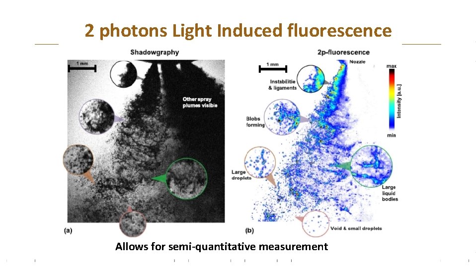 2 photons Light Induced fluorescence Allows for semi-quantitative measurement 