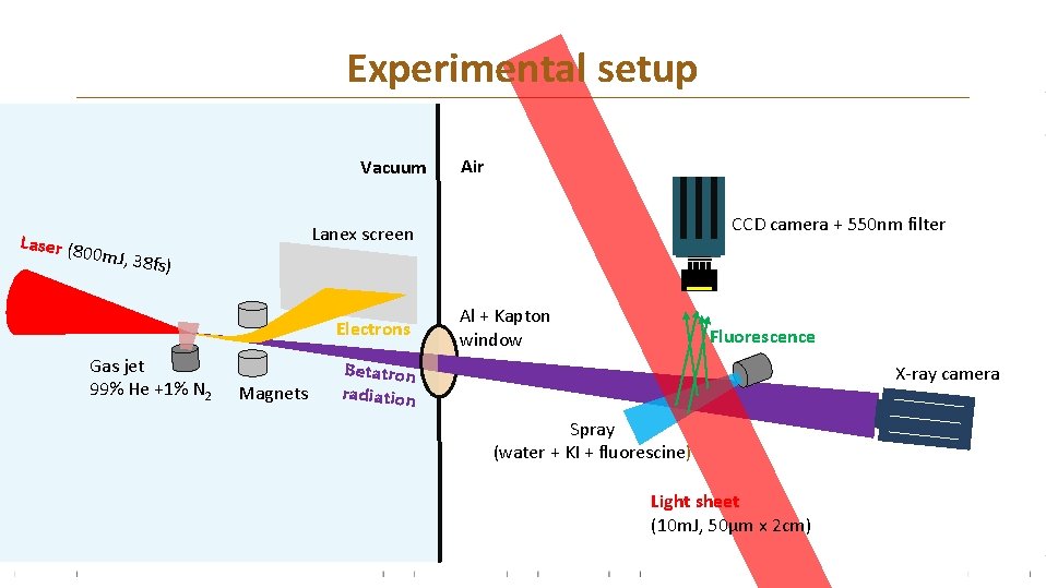Experimental setup Vacuum Air CCD camera + 550 nm filter Lanex screen Laser (8