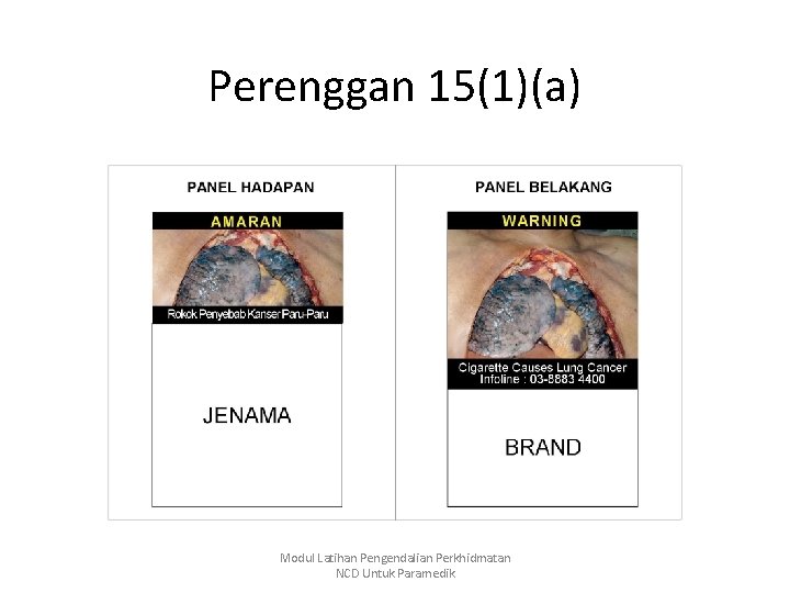 Perenggan 15(1)(a) Modul Latihan Pengendalian Perkhidmatan NCD Untuk Paramedik 
