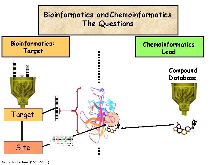 Bioinformatics and Chemoinformatics The Questions Bioinformatics: Target Chemoinformatics Lead Compound Database Target Site Cédric