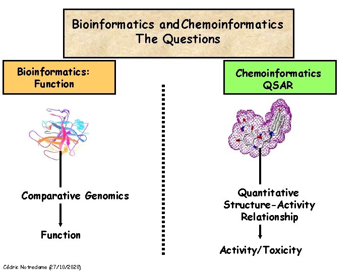 Bioinformatics and Chemoinformatics The Questions Bioinformatics: Function Comparative Genomics Chemoinformatics QSAR Quantitative Structure-Activity Relationship