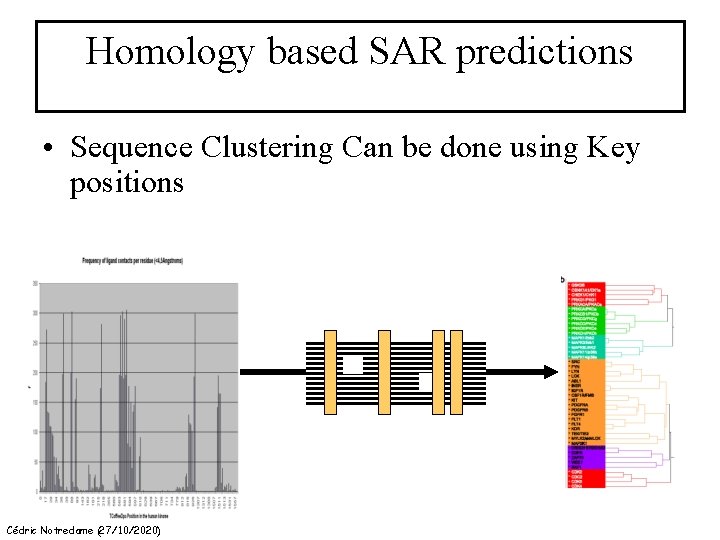 Homology based SAR predictions • Sequence Clustering Can be done using Key positions Cédric