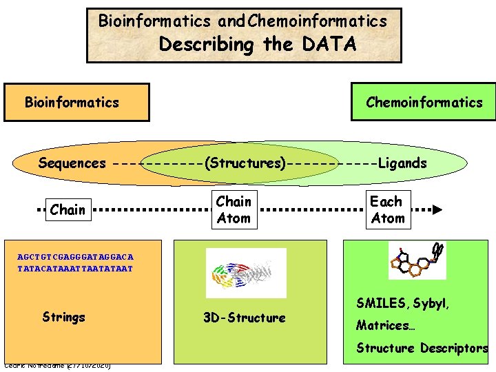 Bioinformatics and Chemoinformatics Describing the DATA Bioinformatics Chemoinformatics Sequences ------(Structures)------Ligands Chain Atom Each Atom