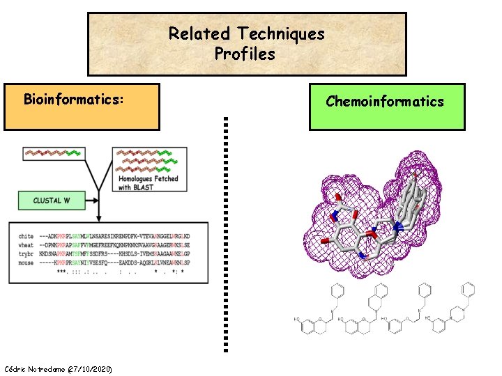 Related Techniques Profiles Bioinformatics: Cédric Notredame (27/10/2020) Chemoinformatics 