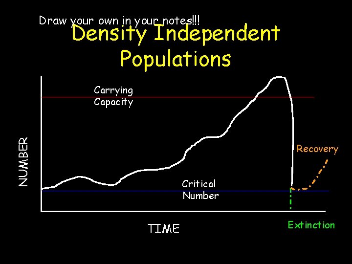 Draw your own in your notes!!! Density Independent Populations NUMBER Carrying Capacity Recovery Critical