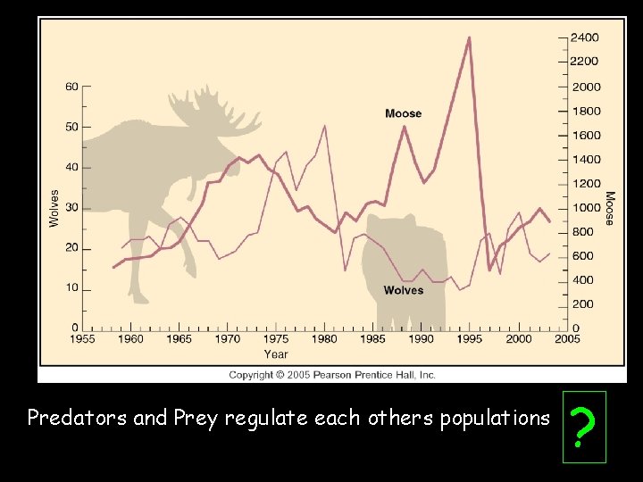 Predators and Prey regulate each others populations ? 
