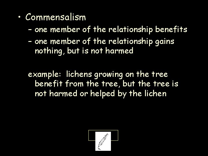  • Commensalism – one member of the relationship benefits – one member of