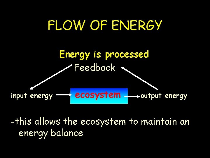 FLOW OF ENERGY Energy is processed Feedback input energy ecosystem output energy -this allows