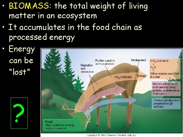  • BIOMASS: the total weight of living matter in an ecosystem • It