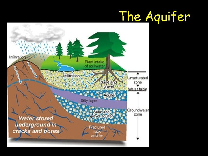 The Aquifer 