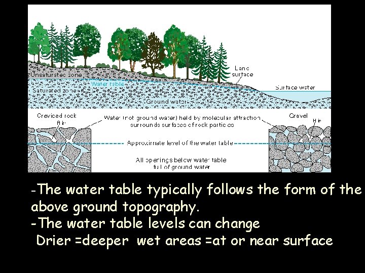 -The water table typically follows the form of the above ground topography. -The water