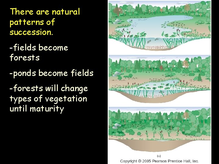 There are natural patterns of succession. -fields become forests -ponds become fields -forests will