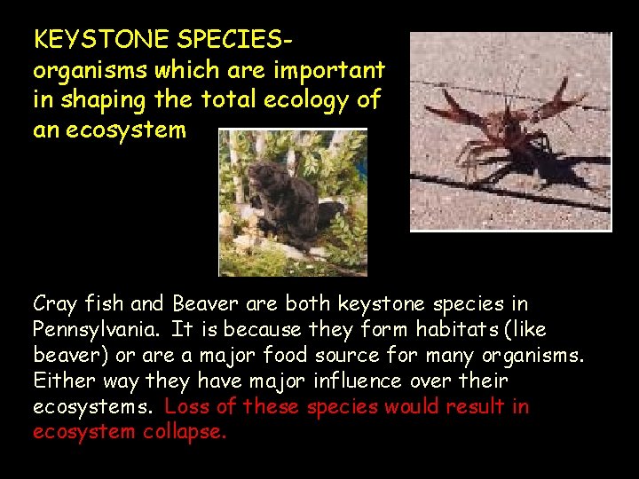 KEYSTONE SPECIESorganisms which are important in shaping the total ecology of an ecosystem Cray