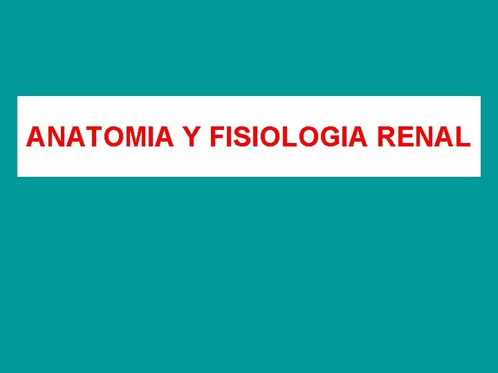 ANATOMIA Y FISIOLOGIA RENAL 