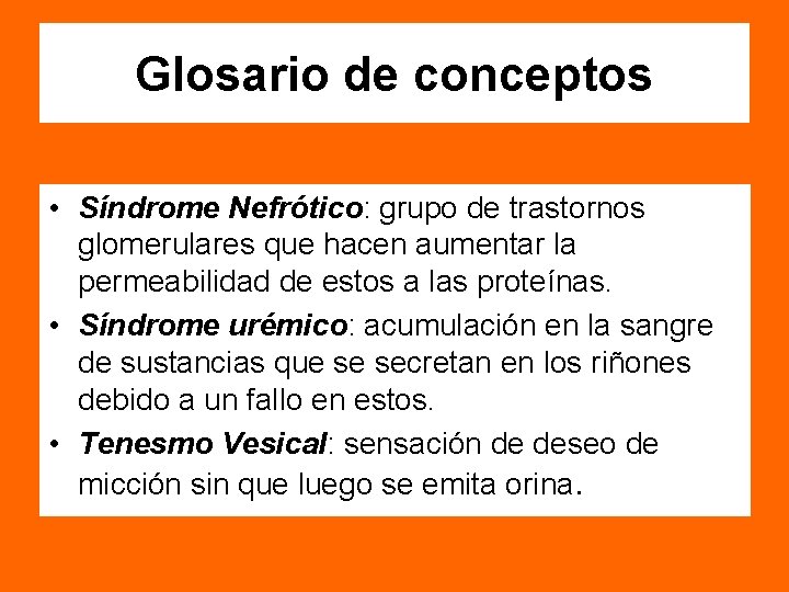 Glosario de conceptos • Síndrome Nefrótico: grupo de trastornos glomerulares que hacen aumentar la