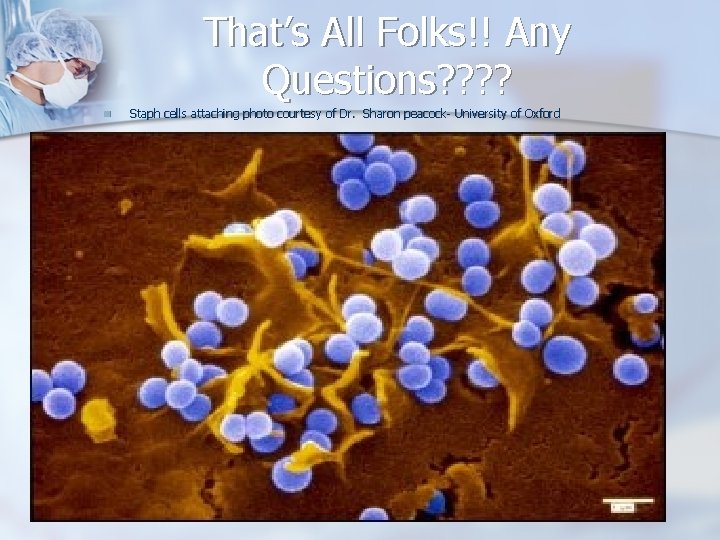 That’s All Folks!! Any Questions? ? n Staph cells attaching photo courtesy of Dr.