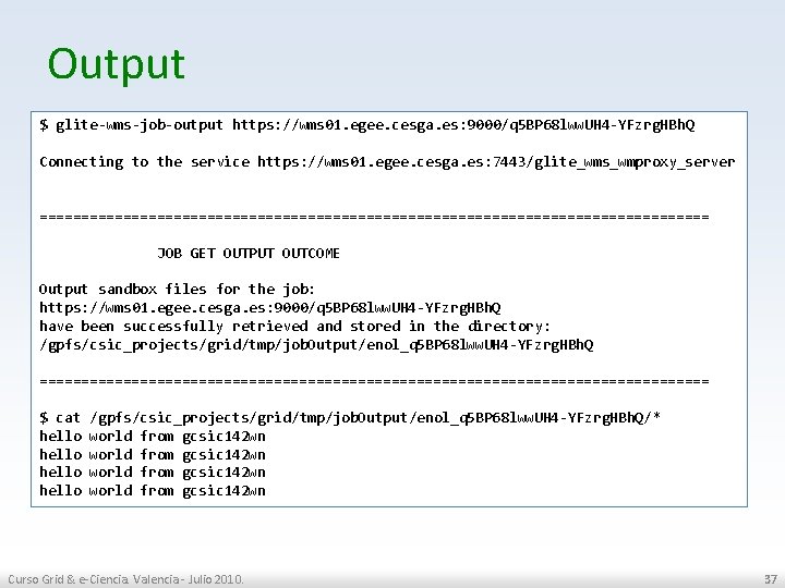 Output $ glite wms job output https: //wms 01. egee. cesga. es: 9000/q 5