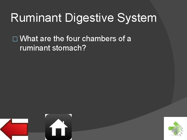 Ruminant Digestive System � What are the four chambers of a ruminant stomach? 