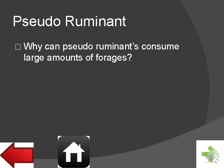 Pseudo Ruminant � Why can pseudo ruminant’s consume large amounts of forages? 