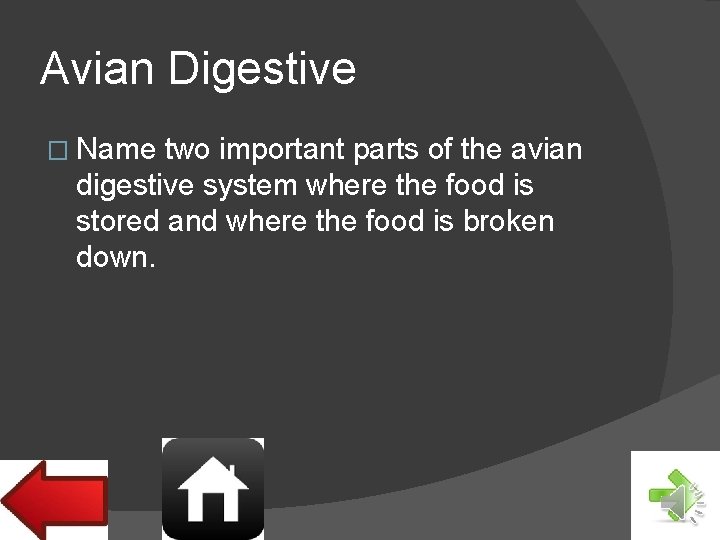 Avian Digestive � Name two important parts of the avian digestive system where the