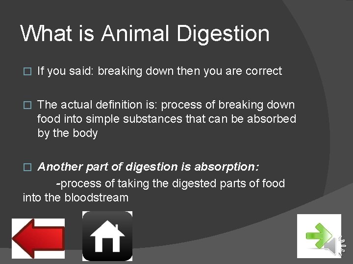 What is Animal Digestion � If you said: breaking down then you are correct
