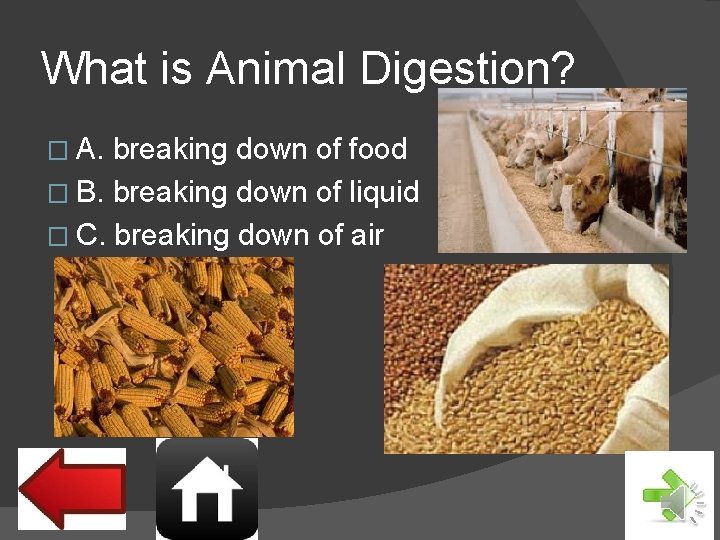 What is Animal Digestion? � A. breaking down of food � B. breaking down