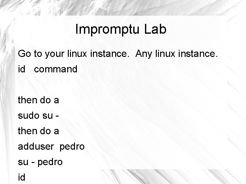 Impromptu Lab Go to your linux instance. Any linux instance. id command then do