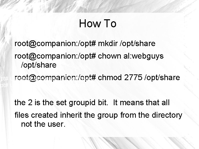 How To root@companion: /opt# mkdir /opt/share root@companion: /opt# chown al: webguys /opt/share root@companion: /opt#